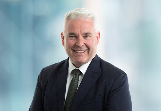 Davidorr(2025)B09M(856X590) (1)