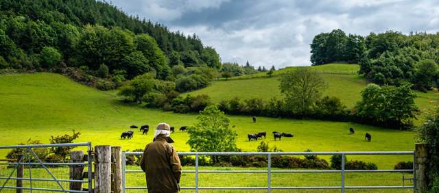 Istock 1324921732 (1)